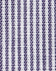 Women's Fine Stripe S/S Shirt
